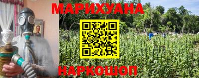 apvp Кунгур