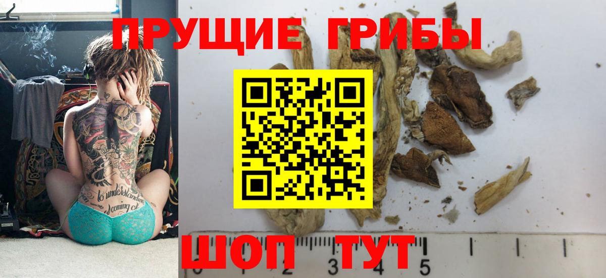Фрязино  Галлюциногенные грибы Cubensis  Вход с VPN 